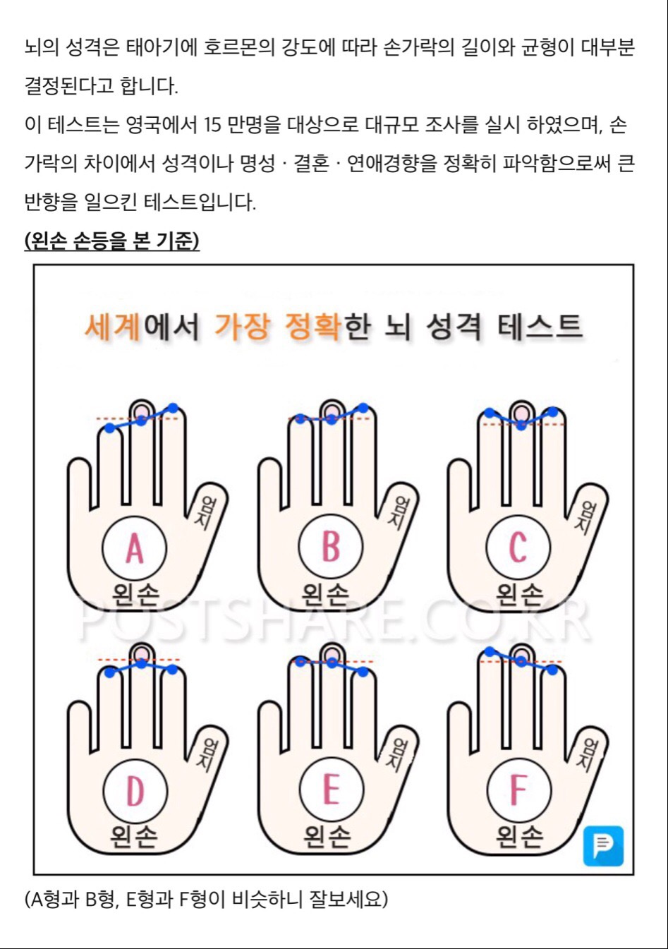 손가락 길이로보는 성격테스트!!! 자유게시판 -카마로Ss동호회